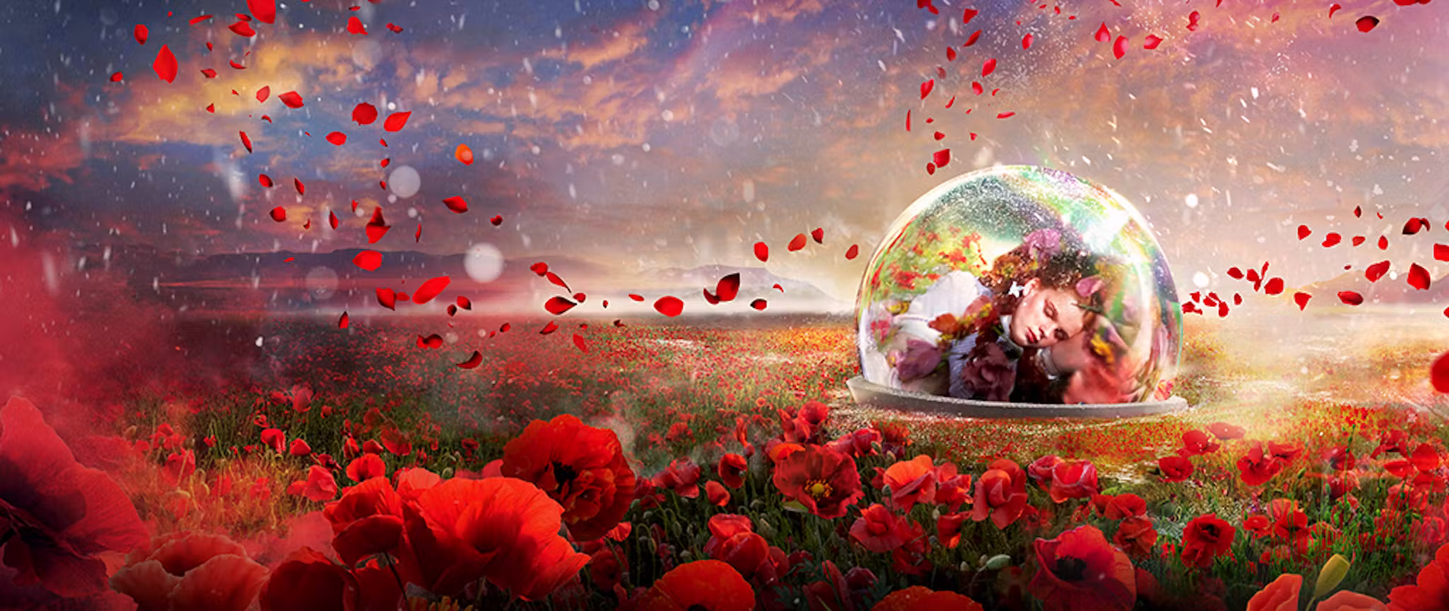The Wizard of Oz at Sphere